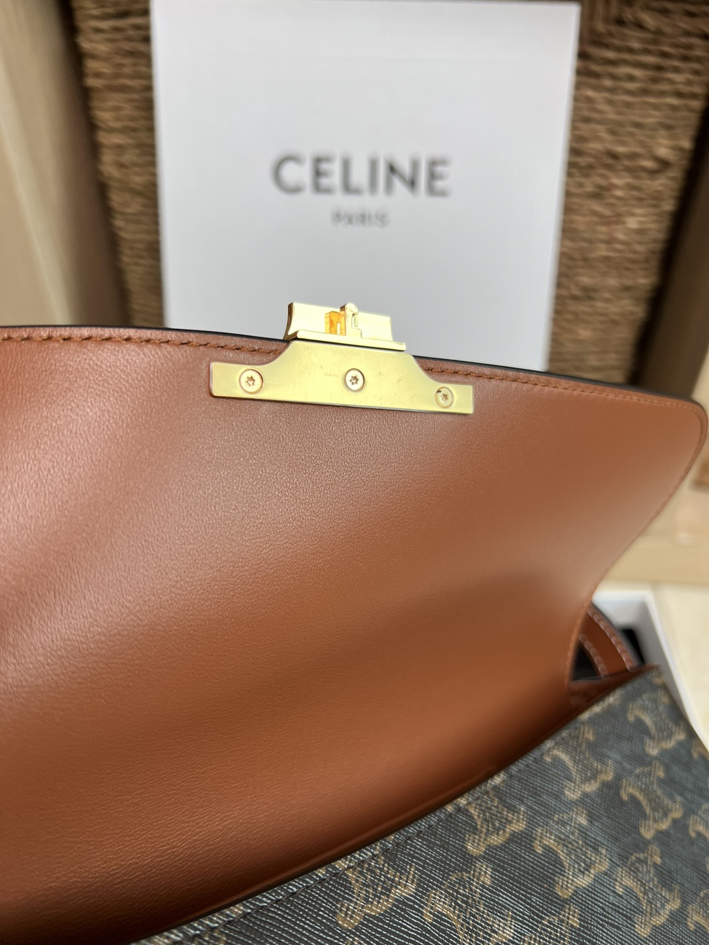 Celine Satchel Bags